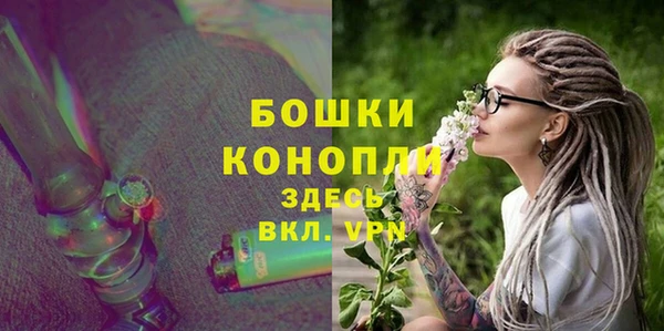 СК Бородино