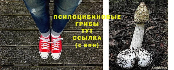 молекула духа Верхний Тагил