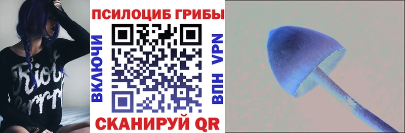 мега ссылка  Нижний Новгород  мориарти клад  Галлюциногенные грибы Magic Shrooms 